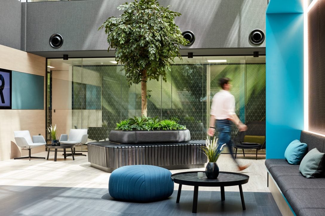A man is shown walking through an office space that features real life trees to enhance workplace wellness. 