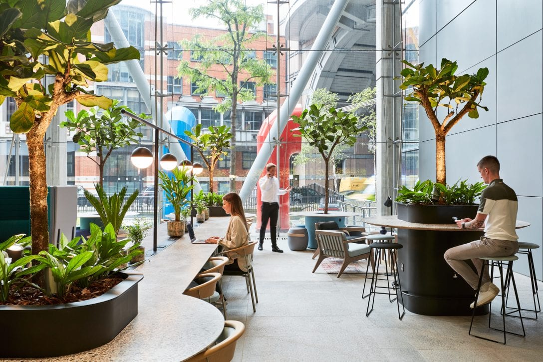 People are shown working in an office reception area filled with lots of biophila including trees and planters.