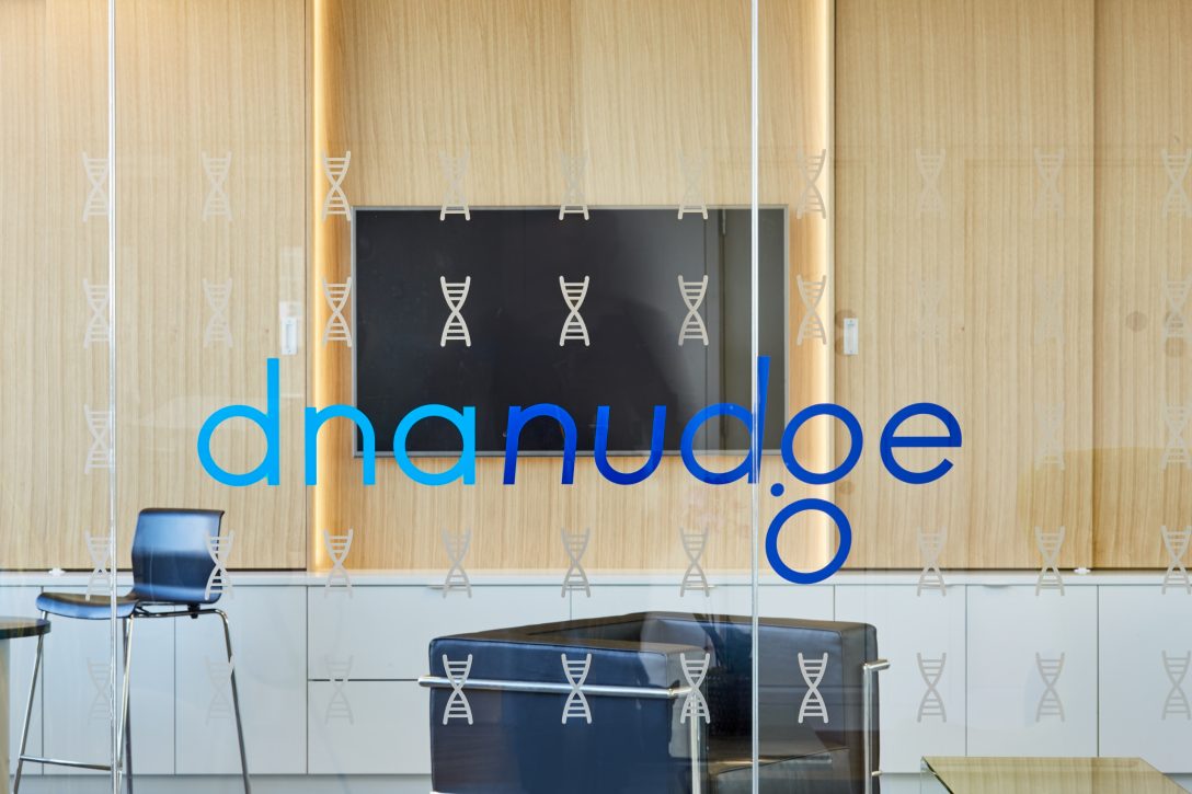 Branding inside an office design for DNA Nudge. 